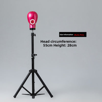 Portrait Hair Dryer